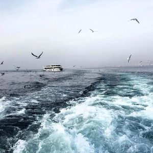 91美女㊙️片黄在线观看91美女
